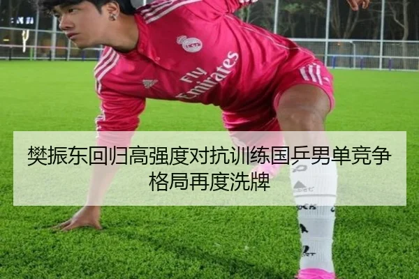 樊振东回归高强度对抗训练国乒男单竞争格局再度洗牌